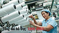 Mã ngành nghề dệt được mã hóa theo hệ thống ngành nghề kinh tế Việt Nam