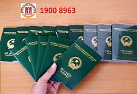 Tư vấn đăng ký hộ tịch, hộ chiếu, quốc tịch, visa nhanh