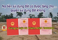 Có được tách thửa đất khi chưa trả hết nợ tiền sử dụng đất?