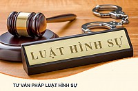 Nghị định 08/2013/NĐ-CP Quy định xử phạt vi phạm hành chính đối với hành vi sản xuất, buôn bán hàng giả