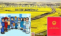 CÔNG CHỨC MUA ĐẤT NÔNG NGHIỆP, ĐƯỢC KHÔNG?