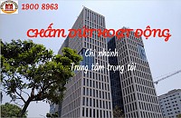 Chấm dứt hoạt động của Chi nhánh Trung tâm trọng tài