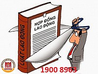 Nội dung, hình thức, các loại hợp đồng lao động