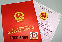 Thủ tục Cấp lại Giấy chứng nhận hoặc cấp lại Trang bổ sung của Giấy chứng nhận do bị mất (cấp tỉnh - trường hợp đã thành lập VP đăng ký đất đai