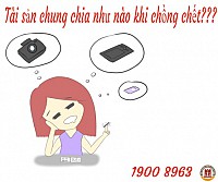 CHỒNG CHẾT, CHIA TÀI SẢN CHUNG NHƯ THẾ NÀO?