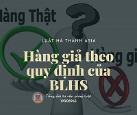 Hàng giả theo quy định của Bộ luật Hình sự