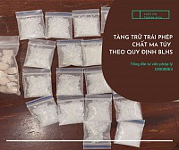 Tàng trữ trái phép chất ma túy theo Bộ luật Hình sự