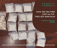 Tàng trữ trái phép chất ma túy theo Bộ luật Hình sự