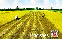 Thủ tục xác nhận tiếp tục sử dụng đất nông nghiệp của hộ gia đình, cá nhân khi hết hạn sử dụng đất đối với trường hợp có nhu cầu