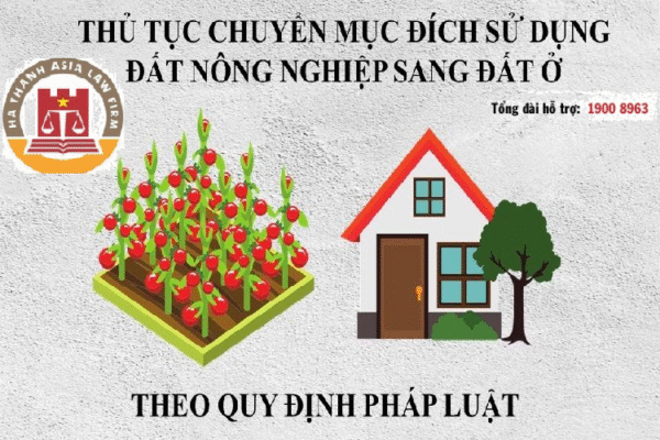 Thu tuc chuyen muc dich su dung dat 1385 anhtintuc
