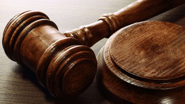 mauhopdonggopvoncongty 3